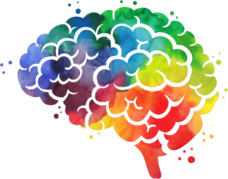 Website Color Schemes