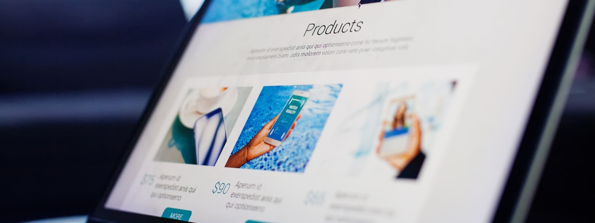 Web Development